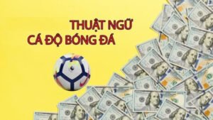 Tổng hợp các thuật ngữ cá cược bóng đá thường dùng nhất