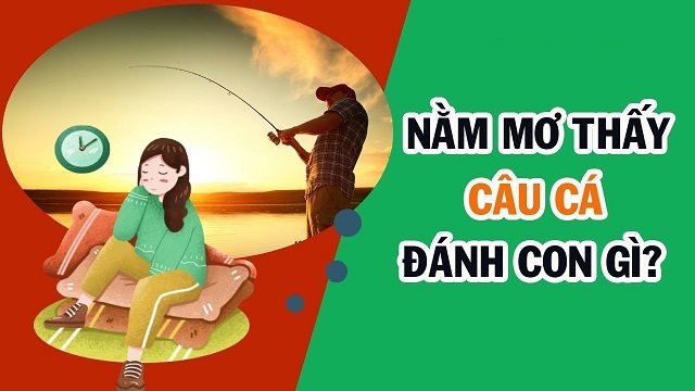 Nằm mơ câu cá đánh con nào?